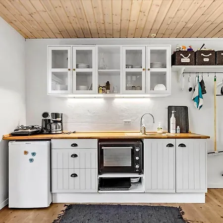 בית נופש K19104-sejero-kongstrupvej-19-e *